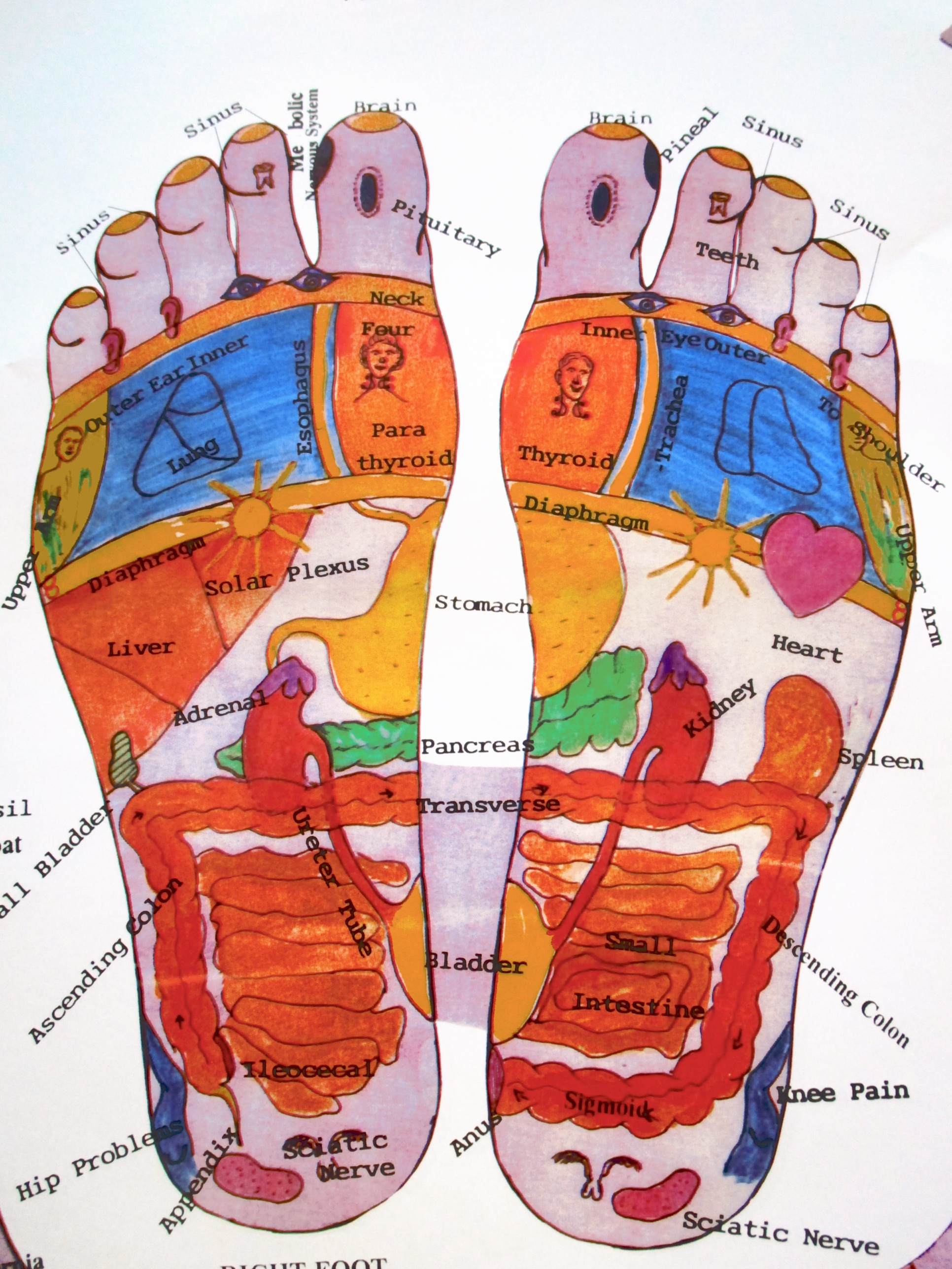 Reflexology | Restoration Massage and Reflexology | Massage Therapy